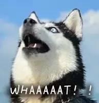 網(wǎng)盤停止免費(fèi)服務(wù),你的資料下載好了嗎?